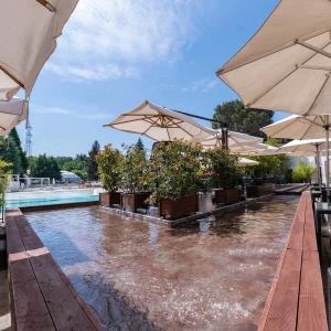 Area esterna con piscina, ombrelloni bianchi e piante in vaso.